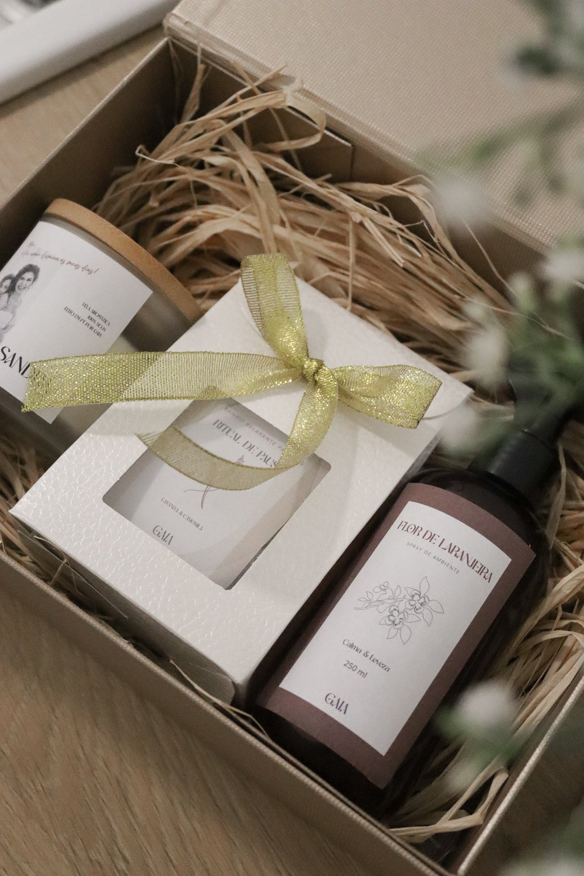 Memórias de Mãe - Box Especial