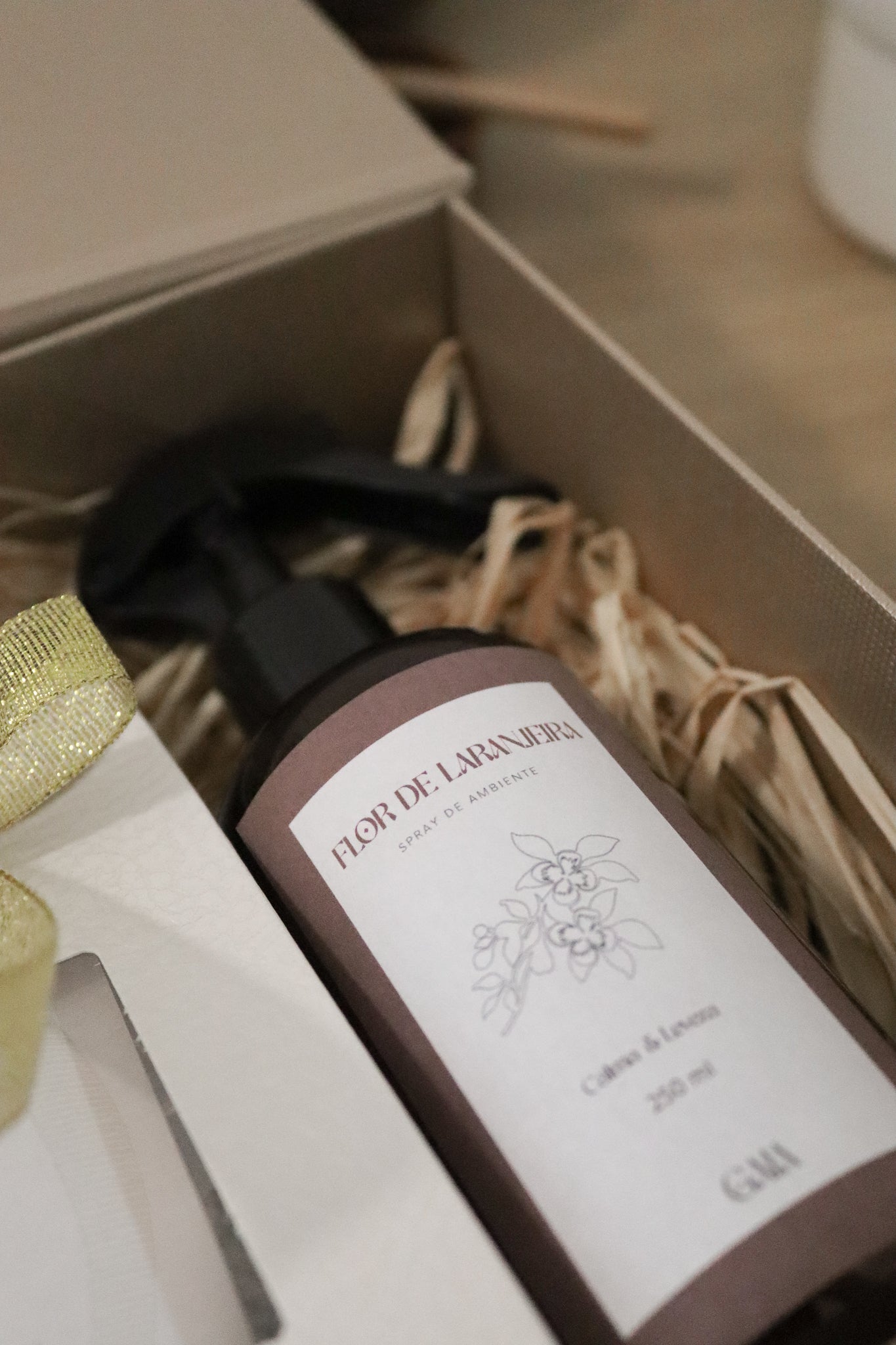 Memórias de Mãe - Box Especial
